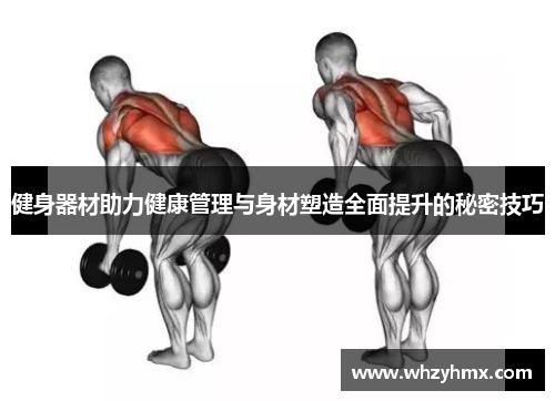 健身器材助力健康管理与身材塑造全面提升的秘密技巧