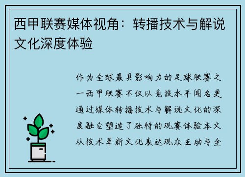 西甲联赛媒体视角：转播技术与解说文化深度体验